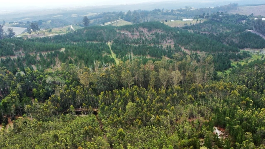 Commercial Property for Sale in Sedgefield Rural Western Cape